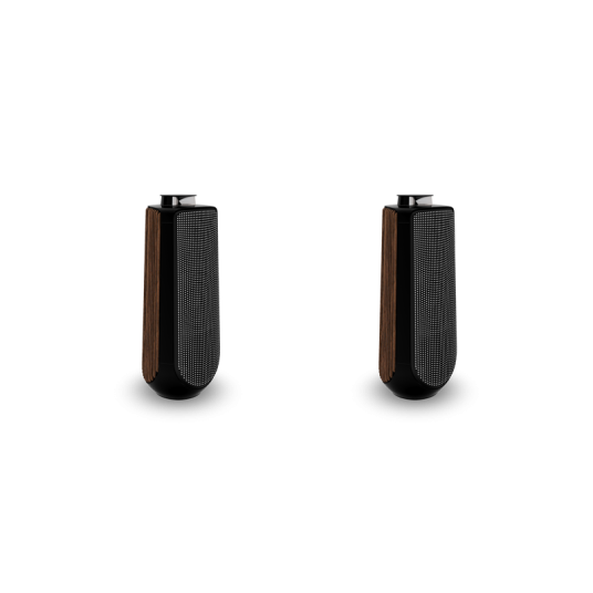 Kolumny głośnikowe Bang & Olufsen BEOLAB 50 2