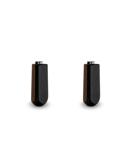 Kolumny głośnikowe Bang & Olufsen BEOLAB 50