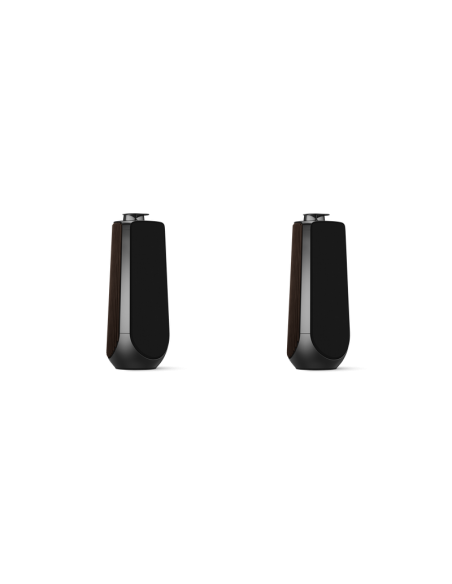 Kolumny głośnikowe Bang & Olufsen BEOLAB 50