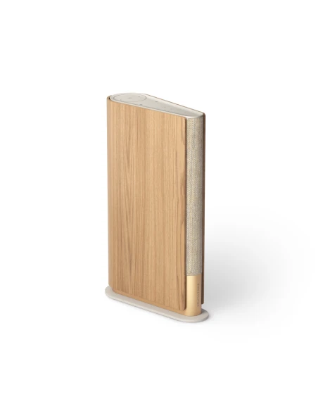 Głośnik Bang Olufsen Beosound Emerge - Dostawa 24h