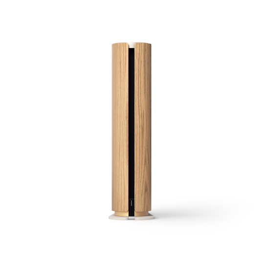 Bang & Olufsen Emerge- Głośnik Beosound Emerge - Dostawa 24h 2