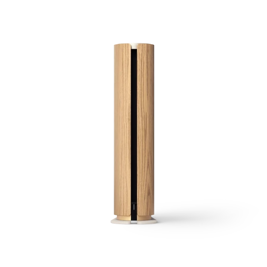 Głośnik Bang Olufsen Beosound Emerge - Dostawa 24h