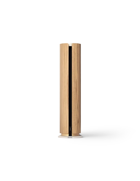 Głośnik Bang Olufsen Beosound Emerge - Dostawa 24h