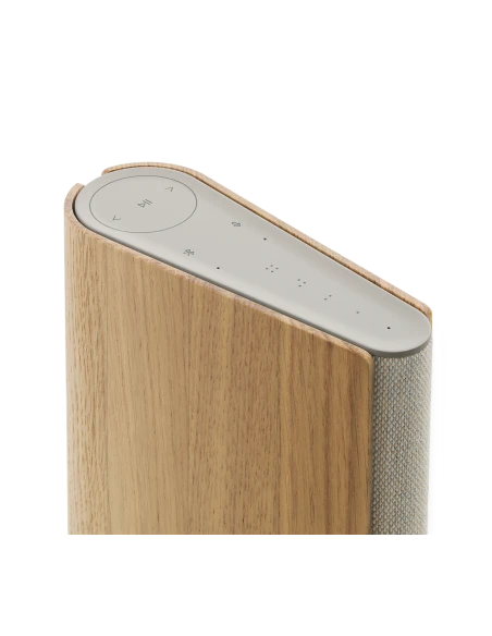 Głośnik Bang Olufsen Beosound Emerge - Dostawa 24h