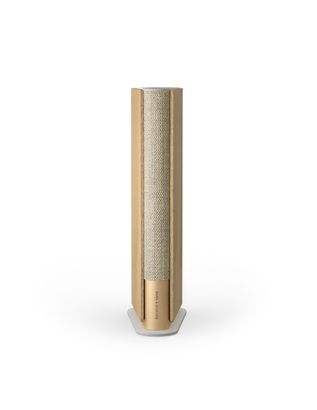 Głośnik Bang Olufsen Beosound Emerge - Dostawa 24h