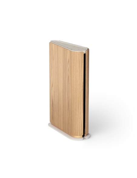 Głośnik Bang Olufsen Beosound Emerge - Dostawa 24h