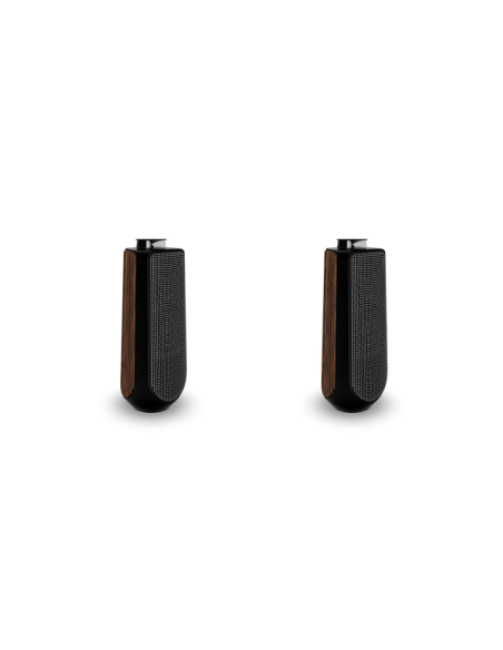 Kolumny głośnikowe Bang & Olufsen BEOLAB 50
