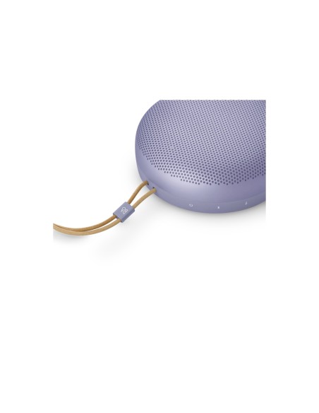 Bang Olufsen Beosound A1 3rd Gen