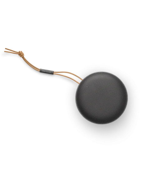 Bang Olufsen Beosound A1 2nd Gen