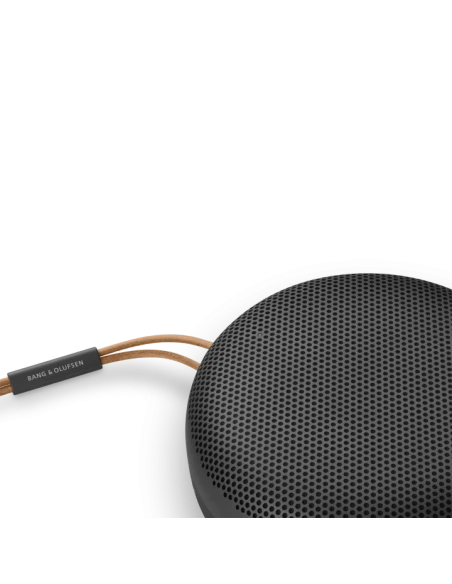 Bang Olufsen Beosound A1 2nd Gen