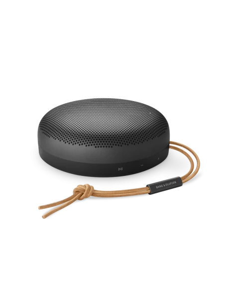 Bang Olufsen Beosound A1 2nd Gen