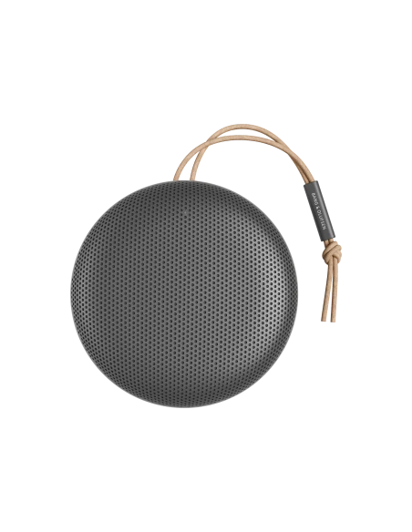 Bang Olufsen Beosound A1 2nd Gen