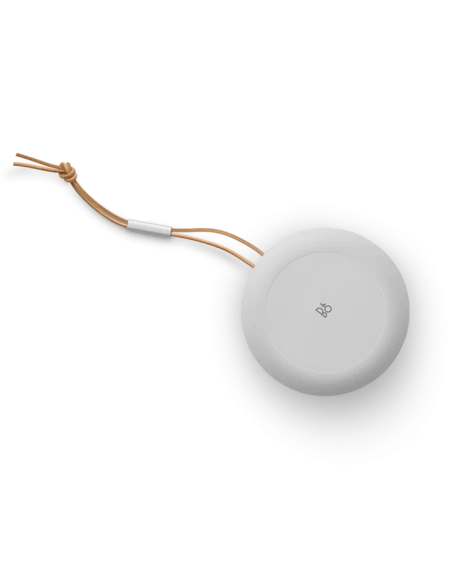 Bang Olufsen Beosound A1 2nd Gen