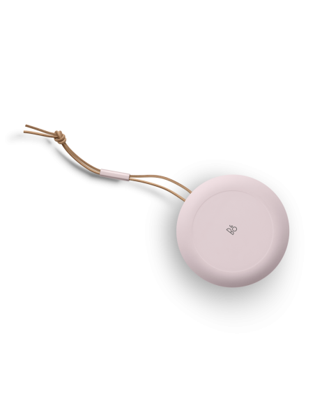 Bang Olufsen Beosound A1 2nd Gen