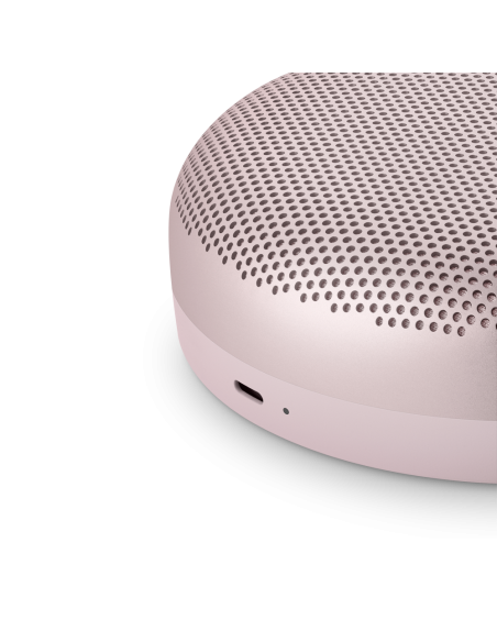 Bang Olufsen Beosound A1 2nd Gen