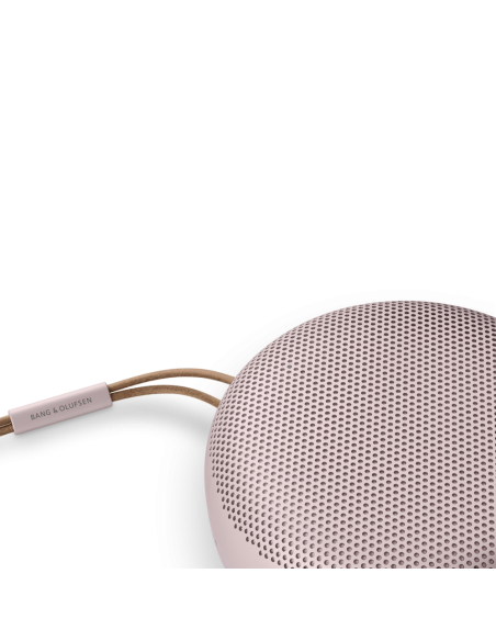 Bang Olufsen Beosound A1 2nd Gen